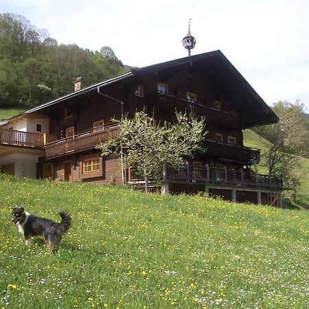Ferienwohnung Bauernhof Obererlach Брамберг-ам-Вильдкогель Экстерьер фото