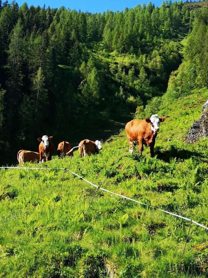 Ferienwohnung Bauernhof Obererlach Брамберг-ам-Вильдкогель Экстерьер фото