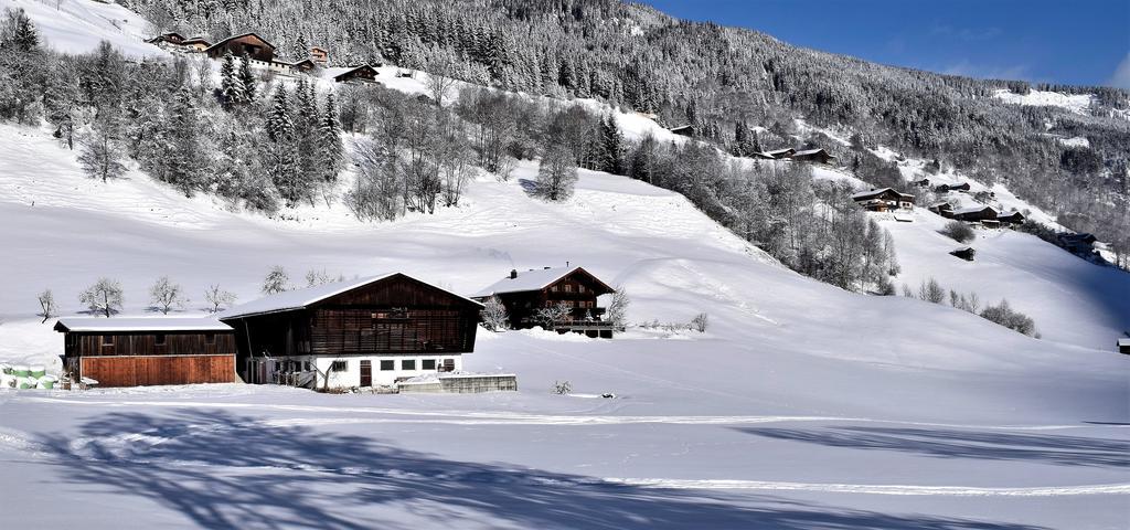 Ferienwohnung Bauernhof Obererlach Брамберг-ам-Вильдкогель Экстерьер фото